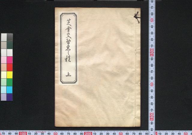 柴全交知恵の程